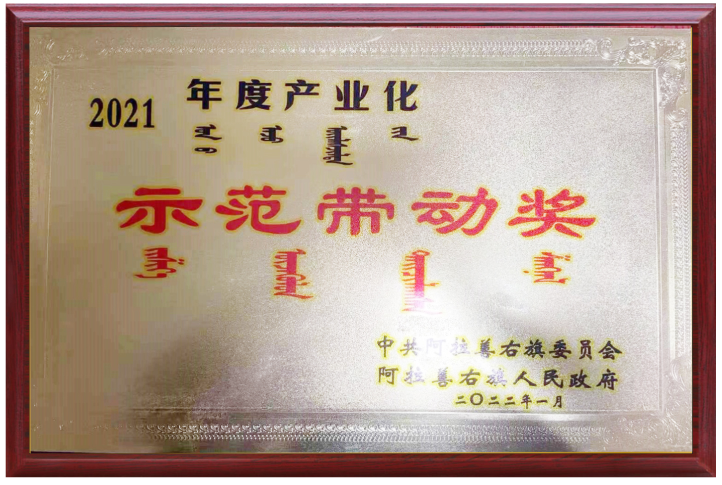 荣誉2.jpg