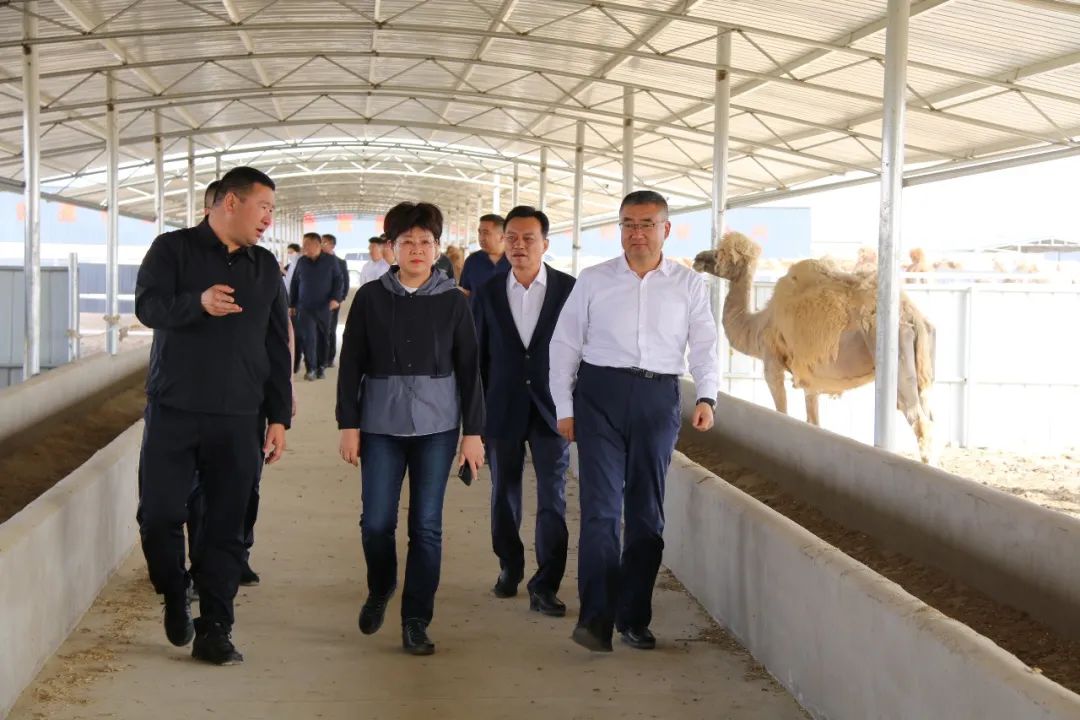微信图片_20230517141033.jpg