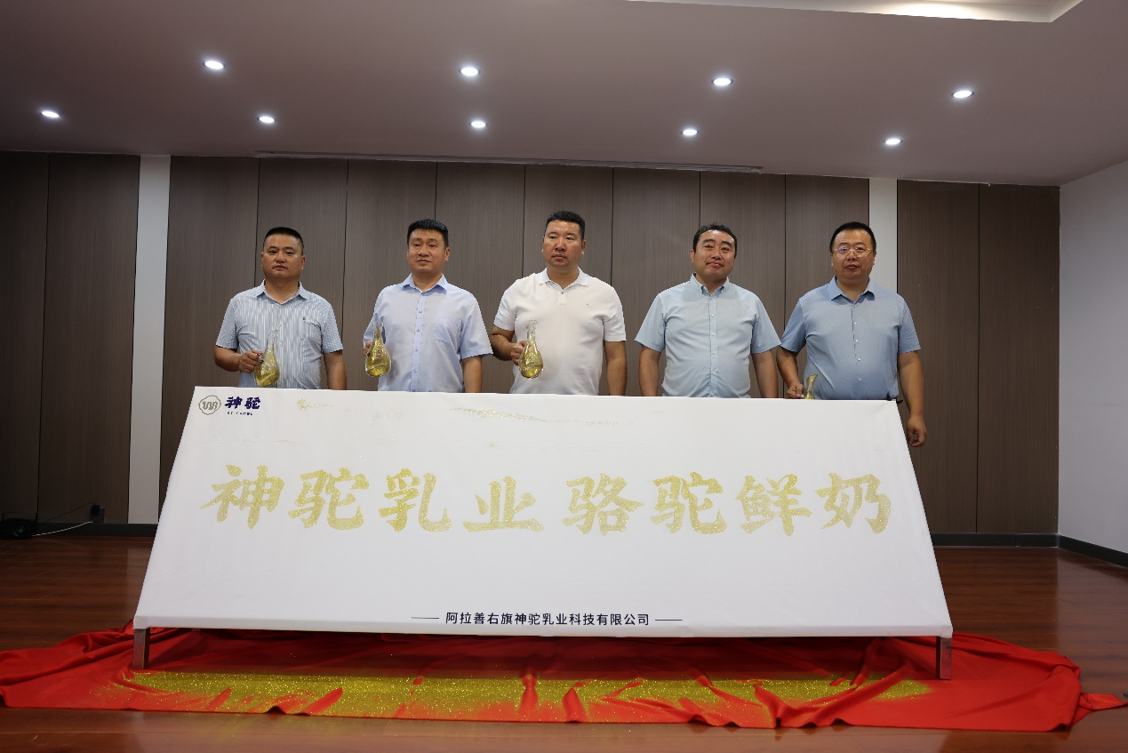 图片 11.png