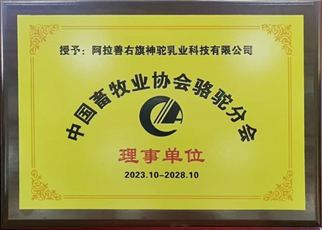图层 24.jpg