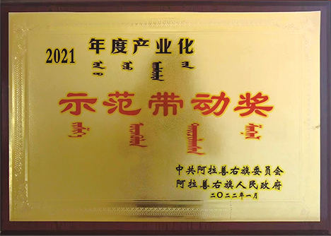 2021年度产业化示范带动奖