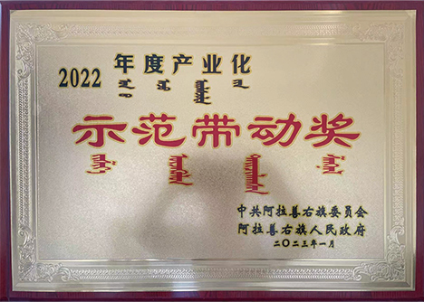 2022年度产业化示范带动奖