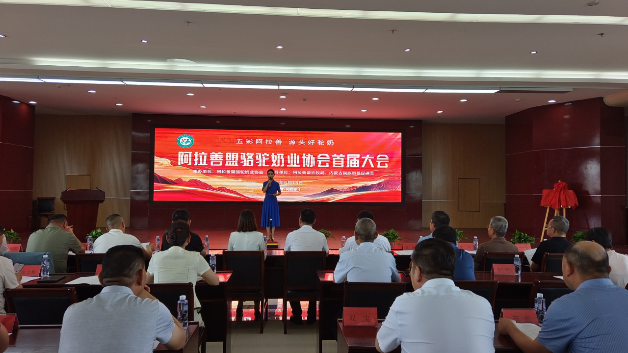微信图片_20250616085408.png