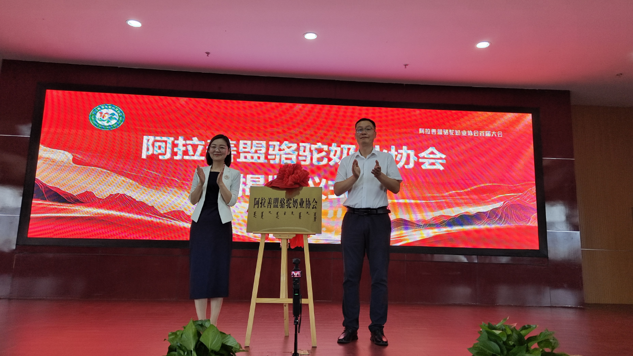 微信图片_20250616085447.png