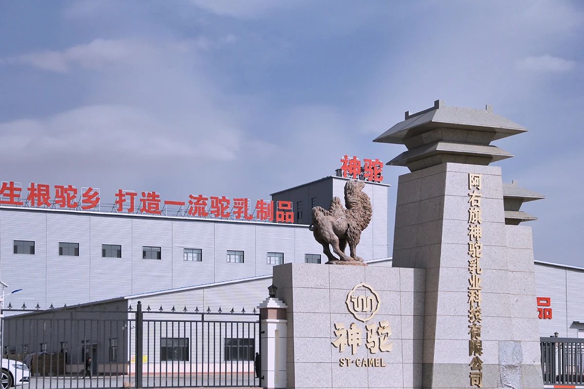 微信图片_20250708135849.jpg
