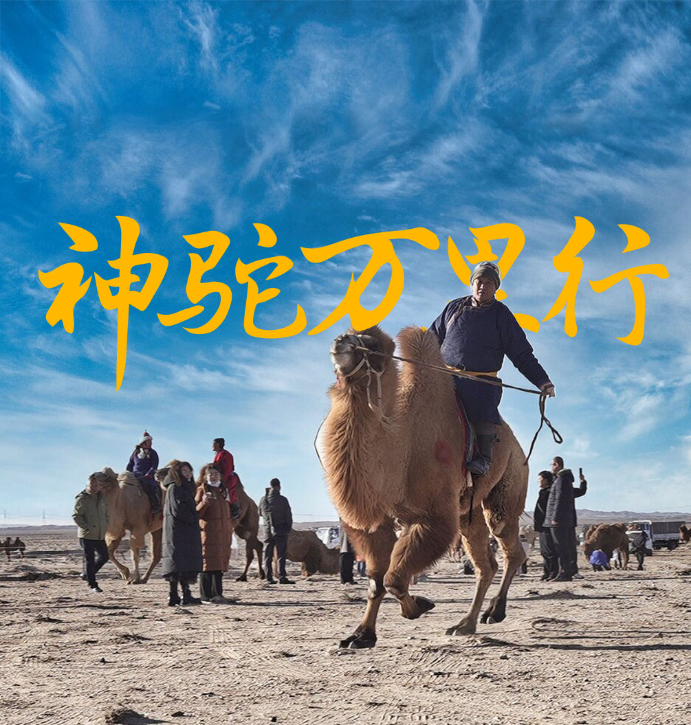微信图片_20250916091536_158_82.jpg