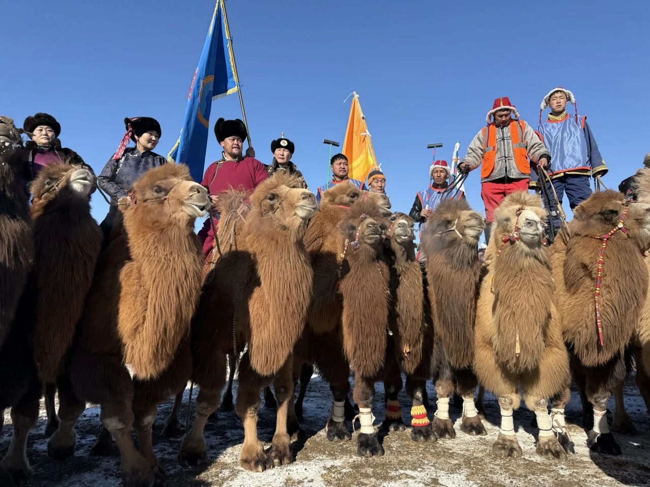 1771989543883730.jpg 微信图片_2026-02-25_104726_677.jpg